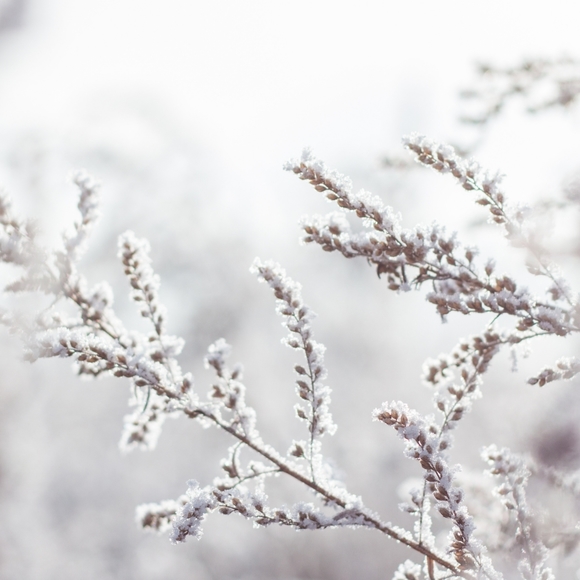 ❄️WINTER WHISPERS FOLLOW GAME❄️ - Picture 4 of 5